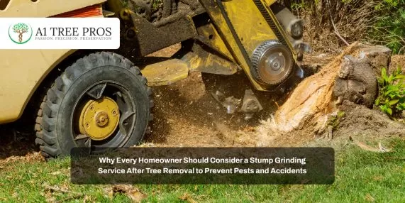 Why Every Homeowner Should Consider a Stump Grinding Service After Tree Removal to Prevent Pests and Accidents