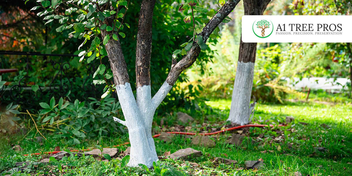 Why Preventative Tree Care Is Almost Always Cheaper Than Emergency Work