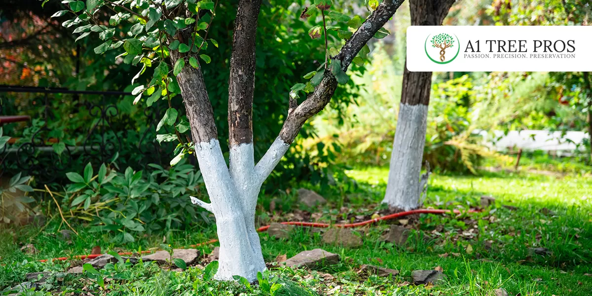 Why Preventative Tree Care Is Almost Always Cheaper Than Emergency Work