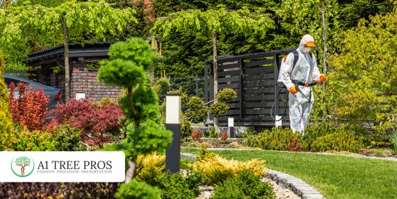 What Is Plant Health Care for Trees and Shrubs (And Why Most Homeowners Don’t Know They Need It)