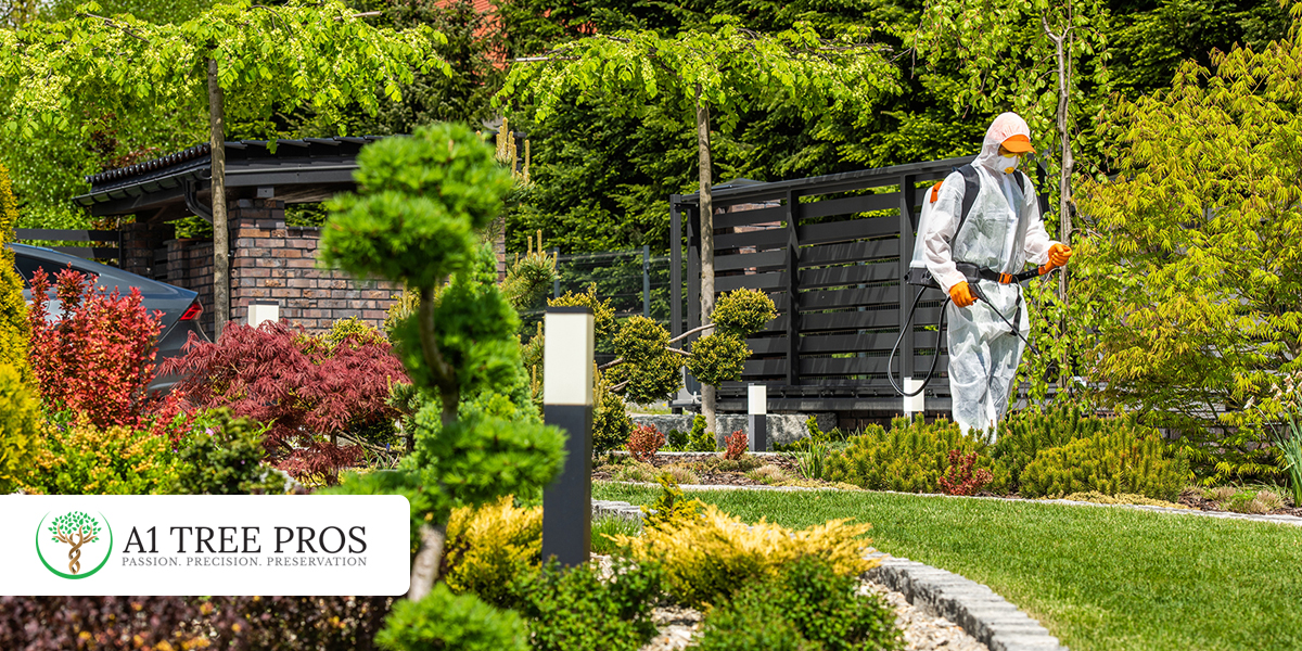 What Is Plant Health Care for Trees and Shrubs (And Why Most Homeowners Don’t Know They Need It)