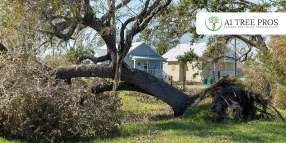 Dead Tree Removal Cost Guide: Price by Size, Location, and Tree Condition