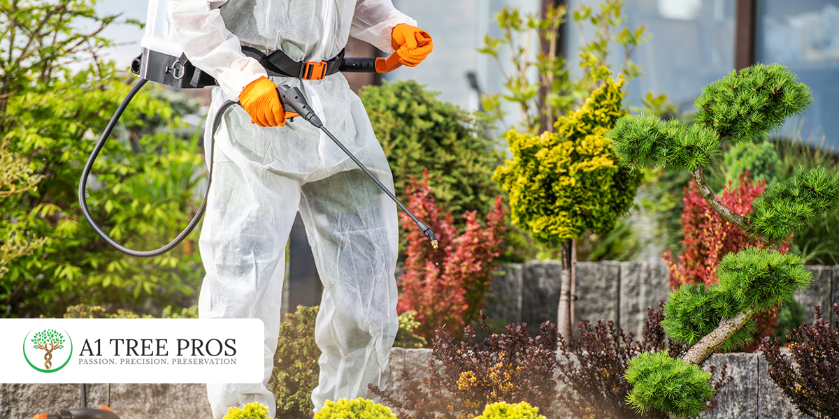 Learn About Tree Pest Prevention Through Plant Healthcare 