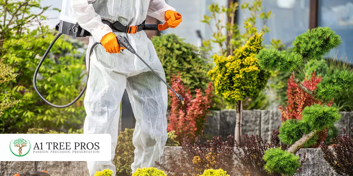 Learn About Tree Pest Prevention Through Plant Healthcare 