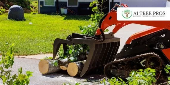 Small Tree Removal Costs Near You: Affordable Options for Homeowners