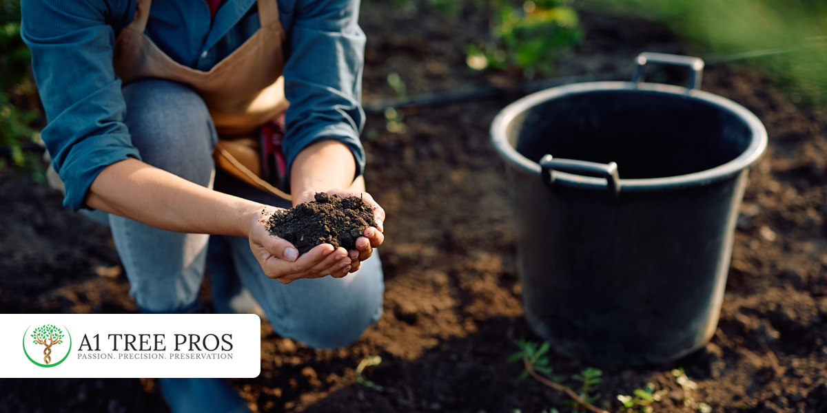 Why Soil Health For Trees and Shrubs is HUGE