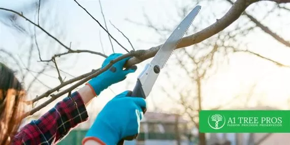 Delaying Tree Branch Trimming Costs is a Slippery Slope