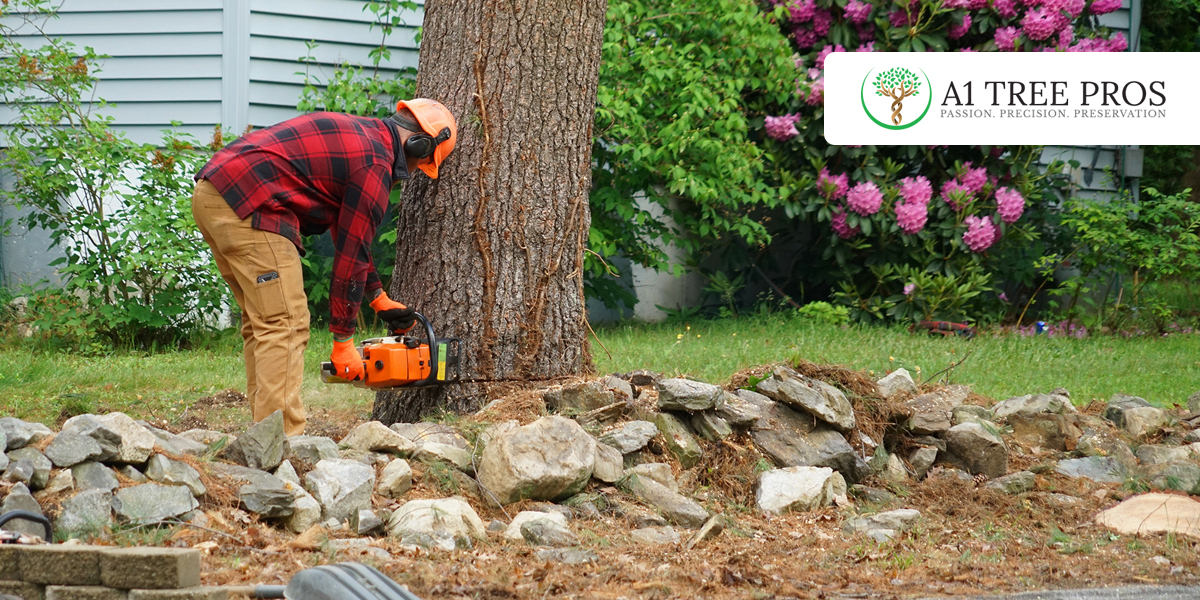 How Much Does Tree Removal Cost Near You?