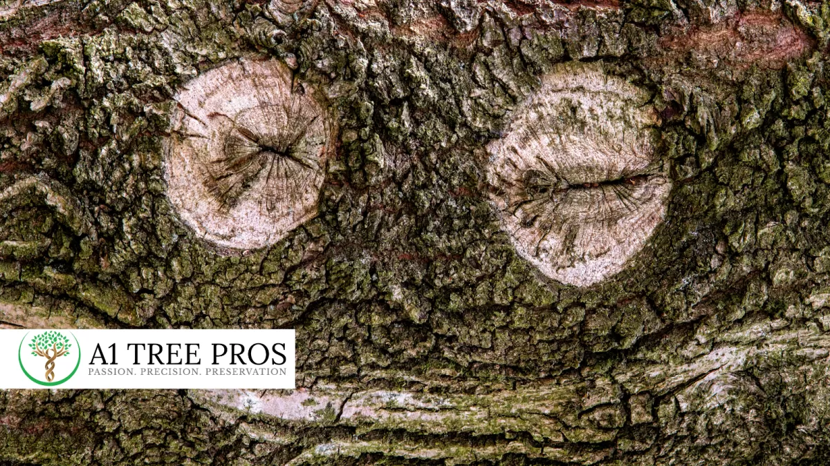 Why Fungal Diseases and Insect Infestations Don’t Just Pop Up