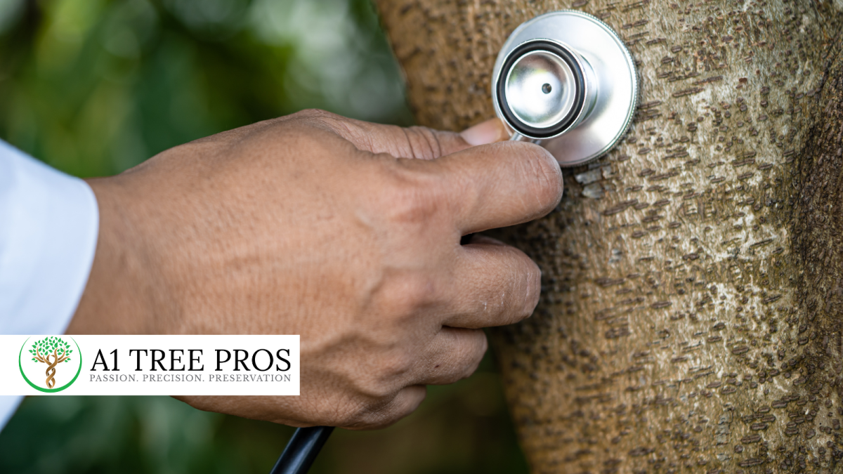 Why Monitoring Tree Health Over Time Prevents Decline
