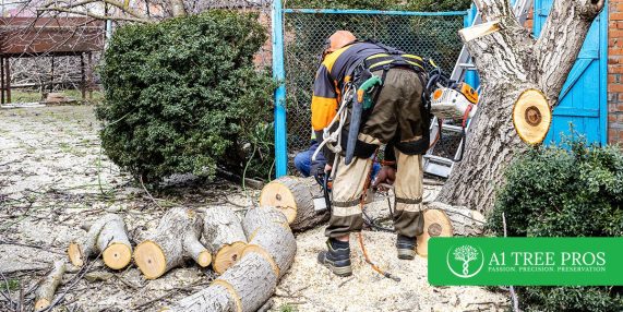 Tree Care Pricing: How Much Should You Pay an Arborist Per Hour