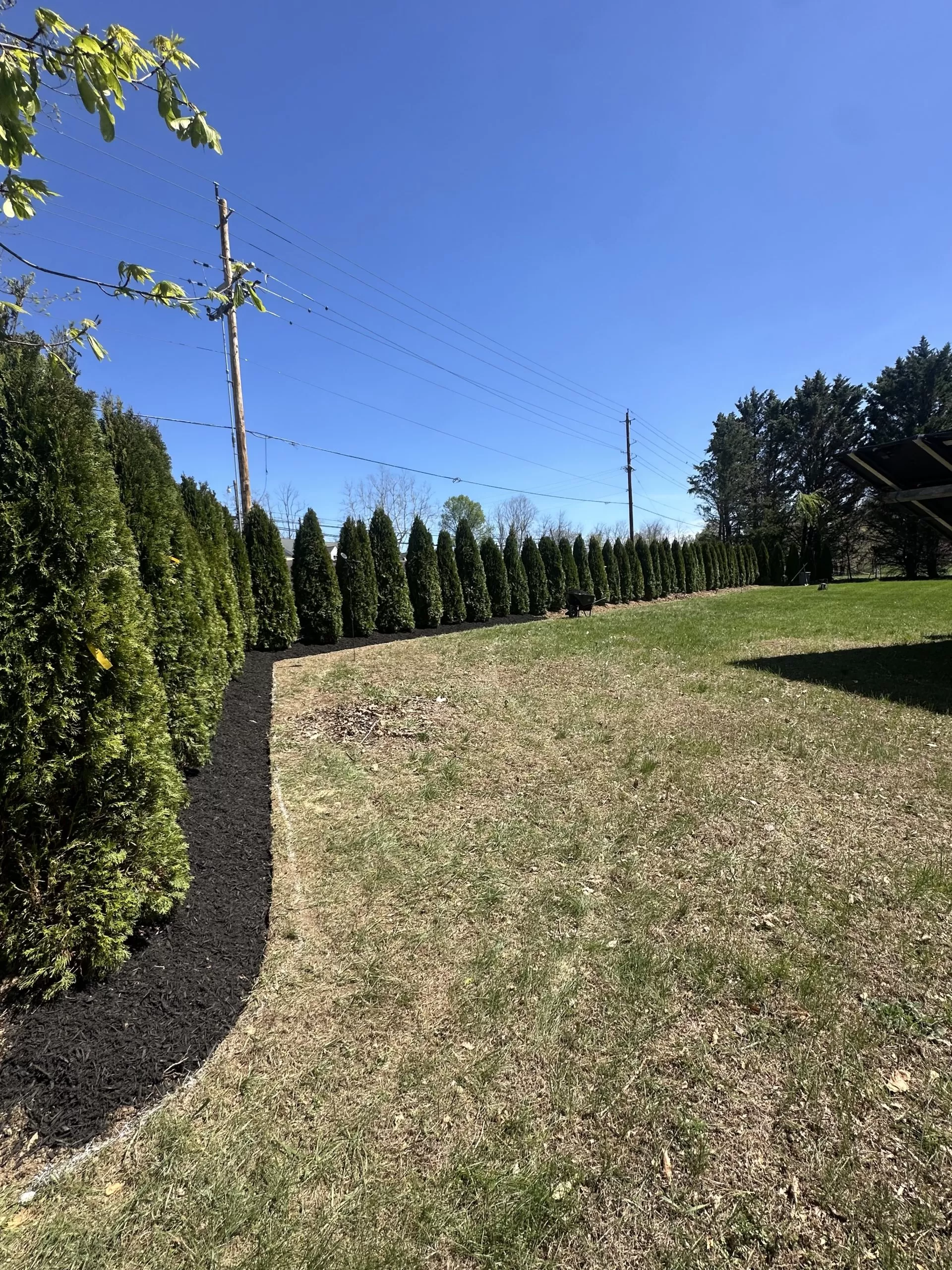 Tree Preservation