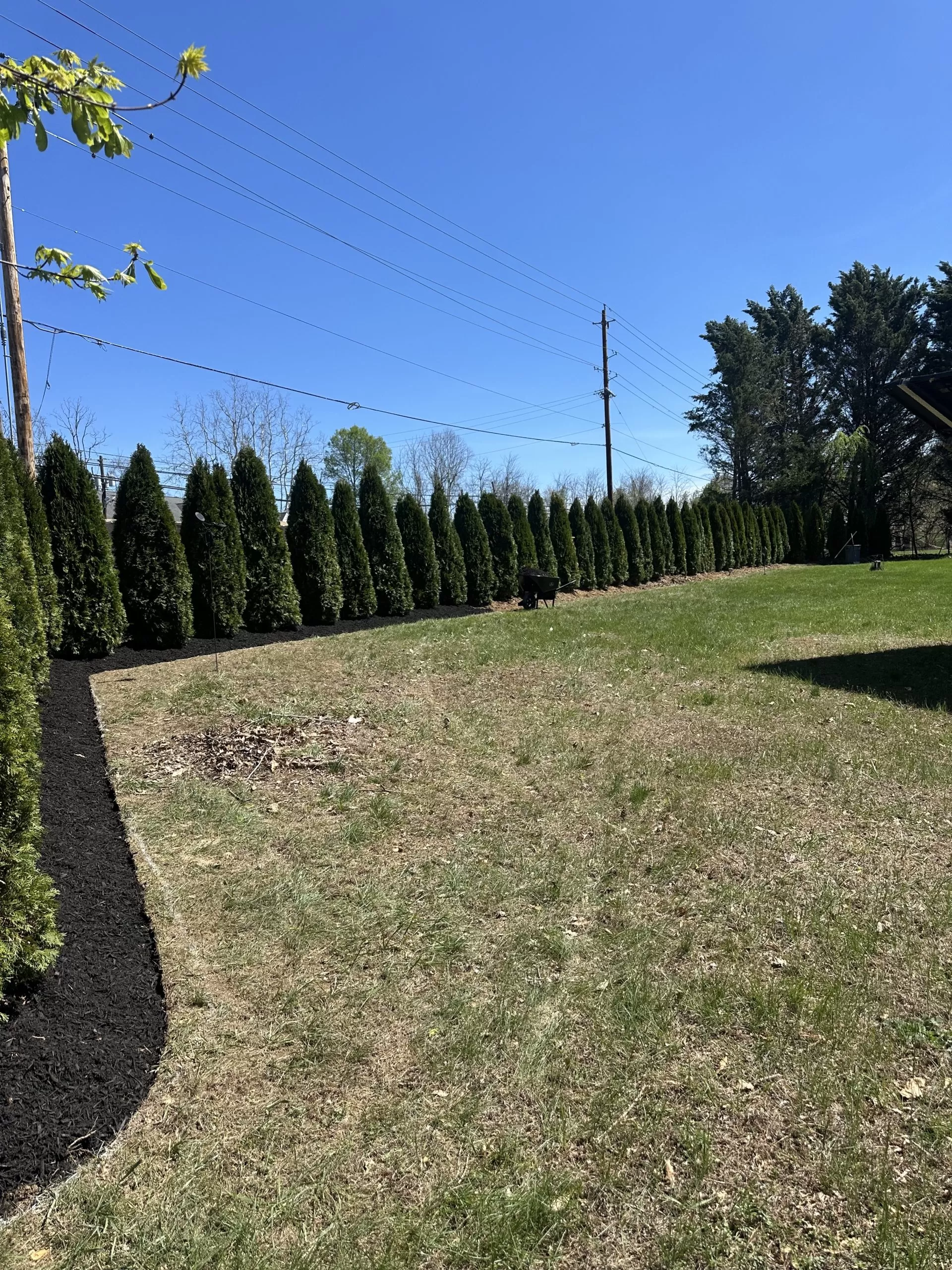 Arborist in North Potomac MD