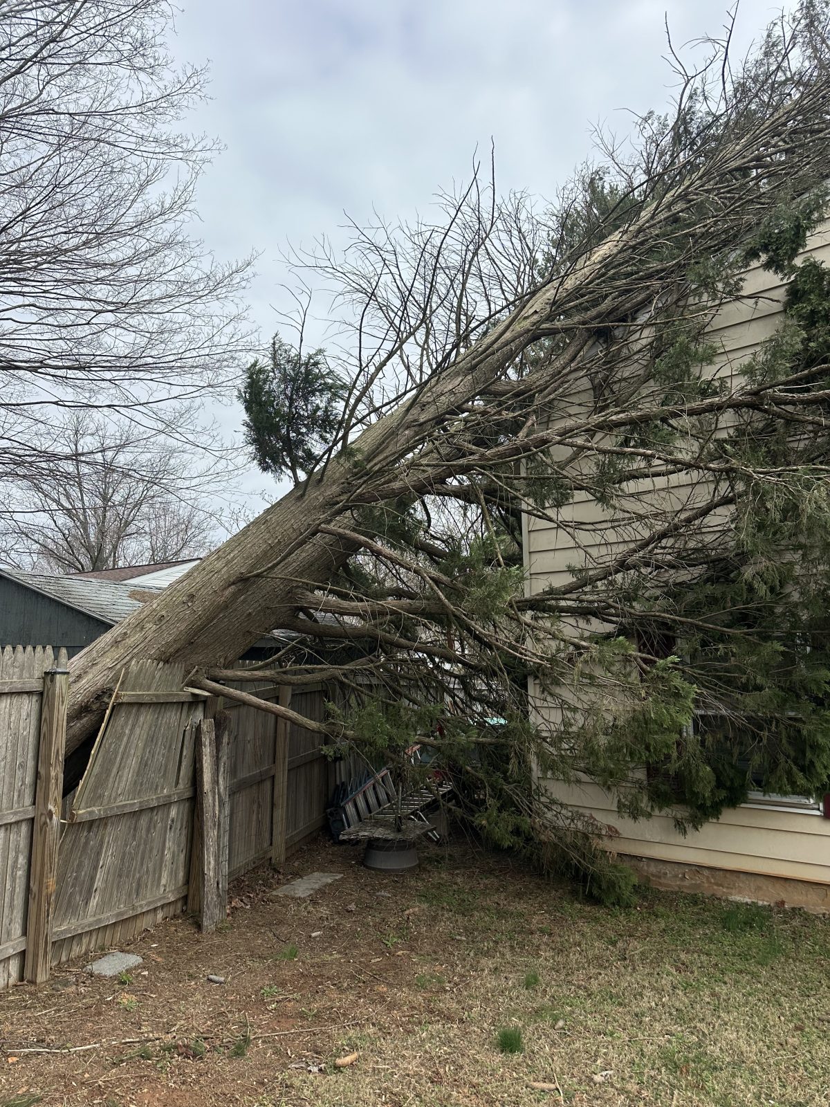 Emergency Tree Service North Potomac Md