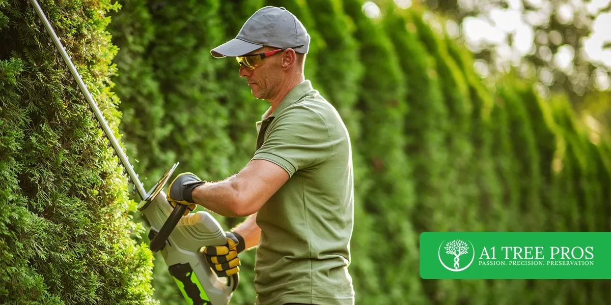 12 Popular Types of Landscaping and How to Choose the Right One